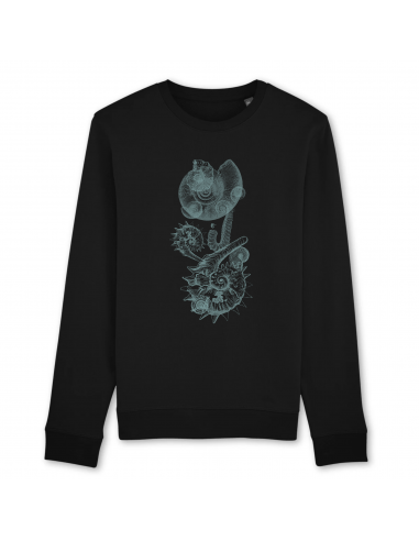 Ammonites | Sweat-shirt - KARIBAN Economisez 